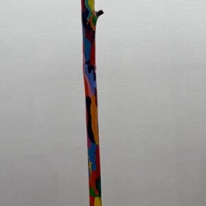 Bois de pin qui rêvait d’être un Eucalyptus Arc-en-ciel - 2024